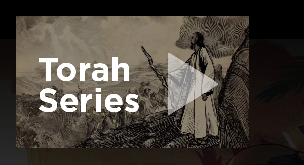Torah Series