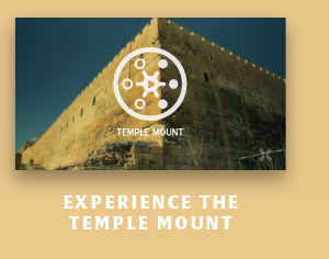 Experience The Temple Mount