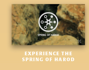 Experience the Spring of Harod