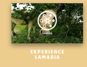 Experience Samaria