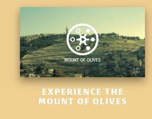 Experience the Mount of Olives