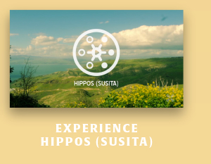 Experience Hippos Susita