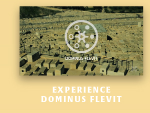 Experience Dominus Flevit
