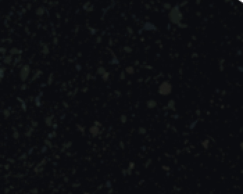 Episode 2 - Jesus: fact or fiction?