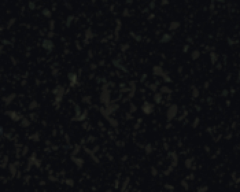 Episode 4 - What was Jesus really like?