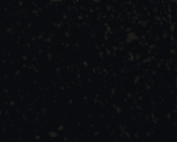 Episode 5 - Why do I like Jesus but struggle with Christians?