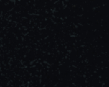 Episode 8 - What's Jesus got to do with me?